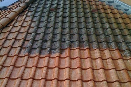Nettoyage / traitement de toiture